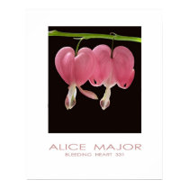 Bleeding Hearts 331 posters