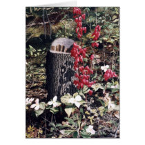"Bleeding Hearts" by Conrad Mieschke cards