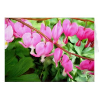 Bleeding Hearts Cards