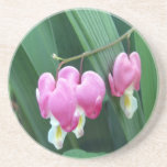 Bleeding Hearts Coaster