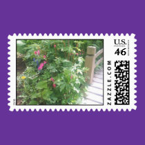 Bleeding Hearts Garden Postage Stamp