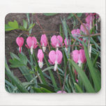 Bleeding Hearts Mouse Pads