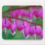 Bleeding Hearts Mousepad mousepads
