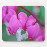 Bleeding Hearts Mousepad mousepads