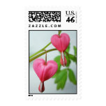 Bleeding Hearts Pair postage