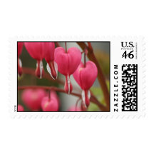 Bleeding Hearts Picture Postage