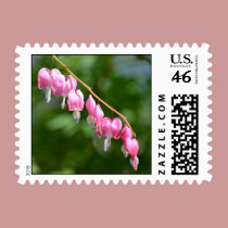 Bleeding Hearts stamps