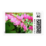 Bleeding Hearts Postage