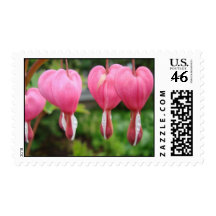 Bleeding Hearts Postage Stamps