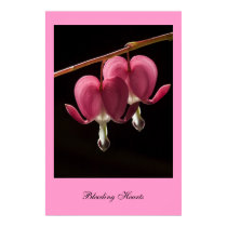 Bleeding Hearts. Poster by cARTerART posters by cARTerART Bleeding Hearts. Poster by cARTerART posters
