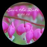 Bleeding Hearts Save the Date Sticker stickers