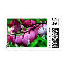 Bleeding Hearts Stamp
