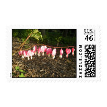 Bleeding hearts. stamp