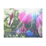 bleeding hearts' sun post card