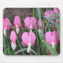 Bleeding Hearts (zoomed) mousepads