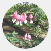 bleedinghearts round stickers