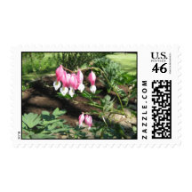 bleedinghearts stamps