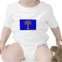 Blekinge län waving flag shirts