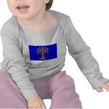 Blekinge län waving flag t shirt