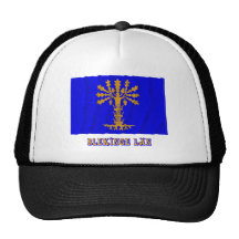 Blekinge län waving flag with name mesh hat