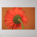 Blending Print