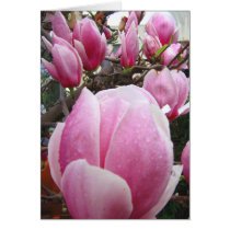 Bless You/ Any Occasion _Card