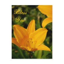 Bless You/Any occasions_ Postcard