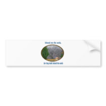 blessed are the meek bumper sticker