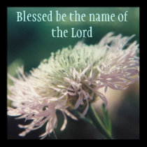 Blessed be the name of the Lord posters