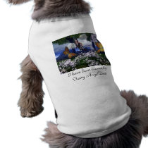 Blessed By: Fairy AngelDust pet clothing by WhiteOak50 Blessed By: Fairy AngelDust pet clothing