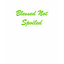 Blessed Not Spoiled t-shirts