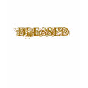 BLESSED t-shirts