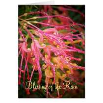 Blessing of the Rain cards by AnitaJoy Blessing of the Rain cards
