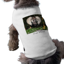 Blessings Everywhere pet clothing