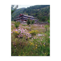 Blessings from above/ postcards