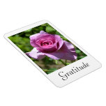 Blessings Rose Magnet magnets