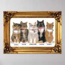 BLIND AS A CAT PRINT
