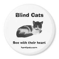 Blind Cat Magnet
