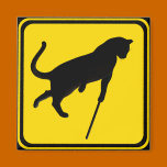 Blind Cats Crossing ! magnets