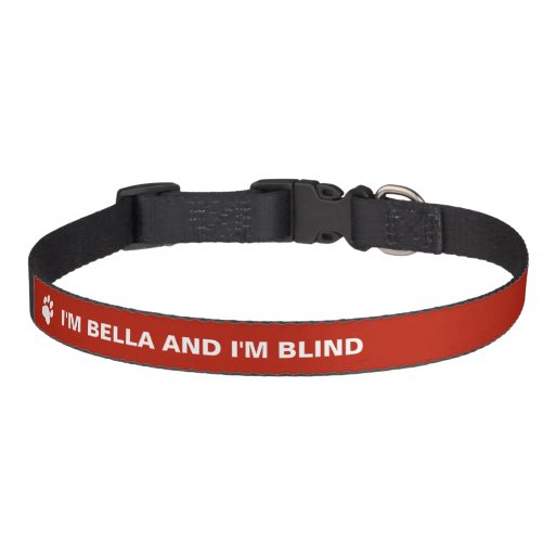 collar for blind dogs blind awareness with custom name pet collars zazzle collar for blind dogs blind awareness with custom name pet collars zazzle
