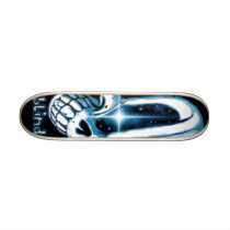 Blind Picture Deck skateboards