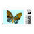 animals, critters, painting, insects, bugs,