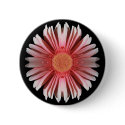 Blink Button.