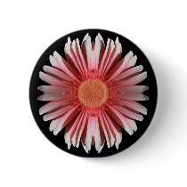 Blink Button.