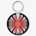 blink key chain keychains