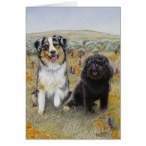 "Bliss and Baldwin" cards