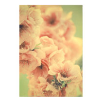 Bliss IN The Spring posters