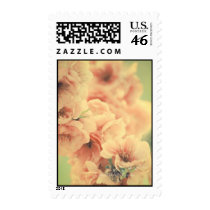 Bliss IN The Spring stamps