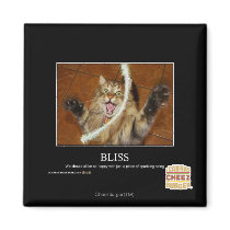 Bliss Magnets