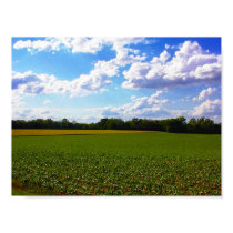 Bliss, Ohio Style posters